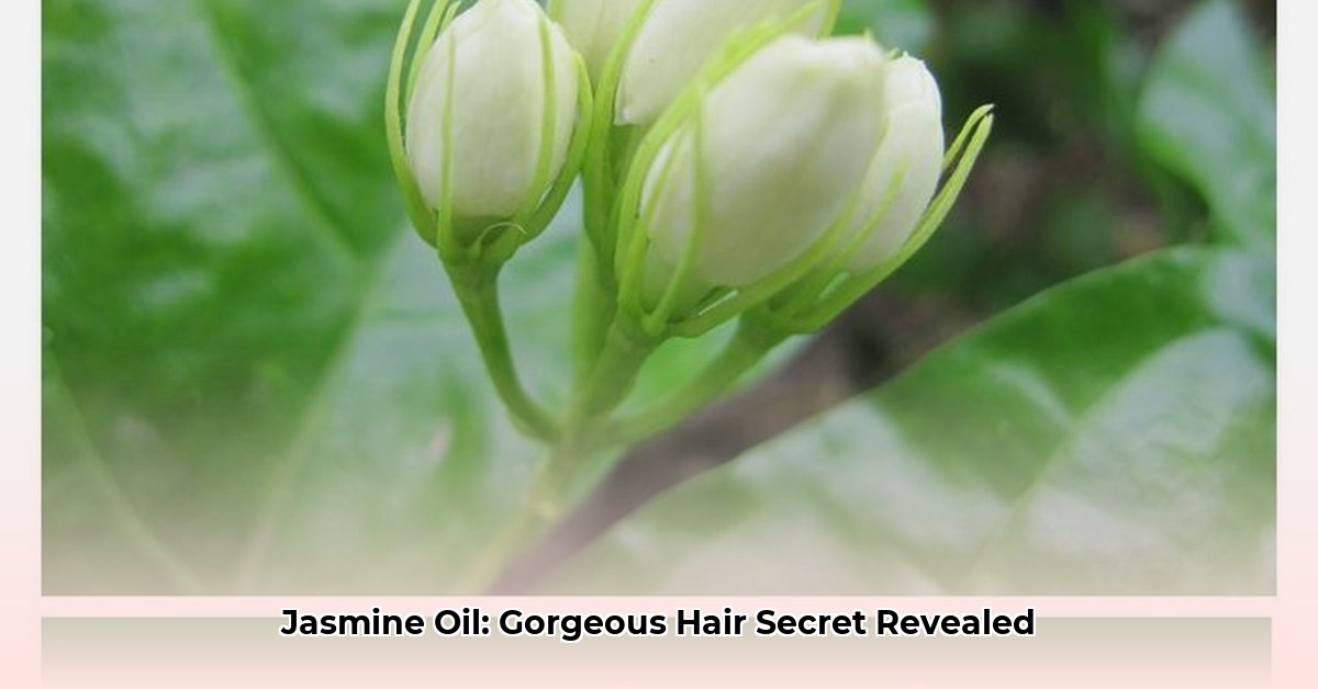 benefits-of-jasmine-oil-for-hair